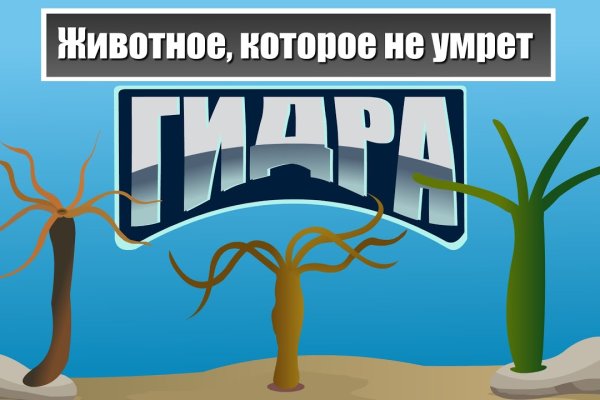 Как зайти на кракен тор