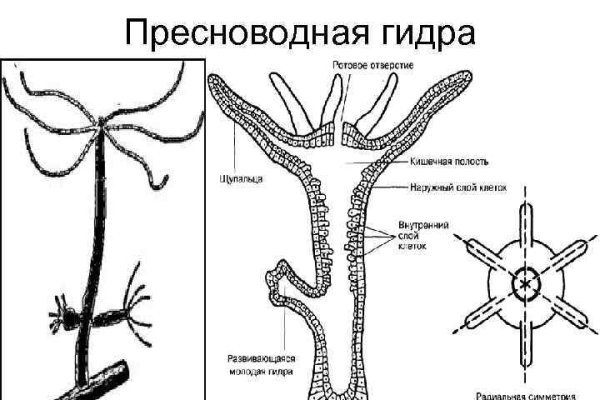 Ссылка кракен