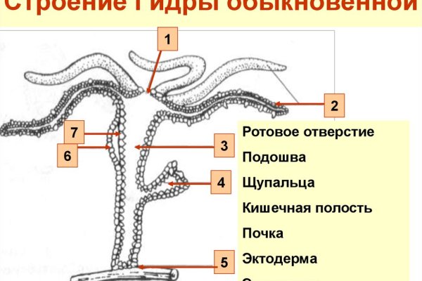 Рабочая ссылка кракен в тор