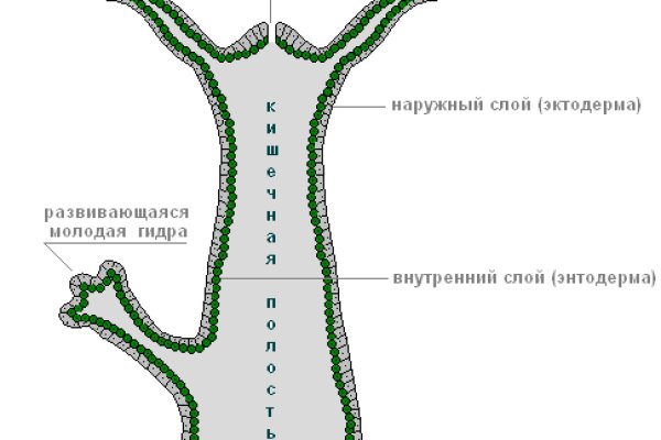 Гидра даркнет рынок