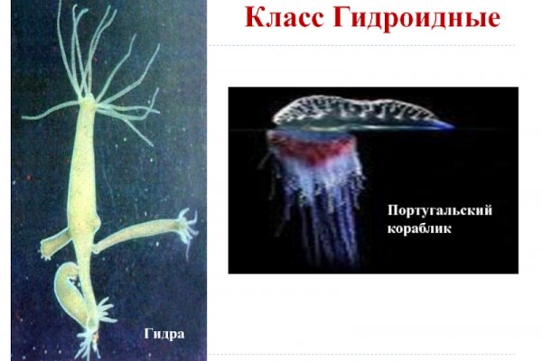 Актуальные ссылки кракен 2025