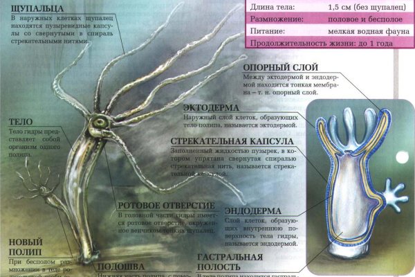Kraken ссылка для тору