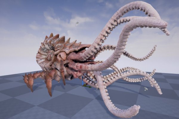 Kraken biz