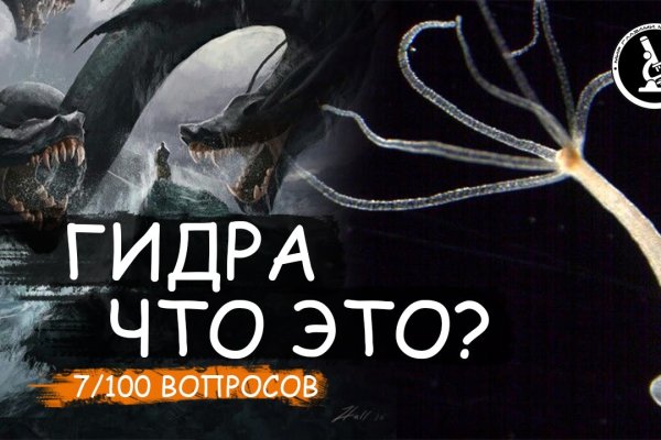 Кракен маркет даркнет только через стор